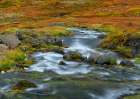 Iceland. Waterfall Dynjandi in Borgarfjordur during autumn. Art Print